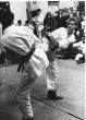 ibf nats 86.jpg