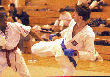 mawashigeri.gif